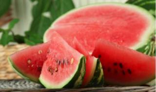 末伏吃什么食物最好