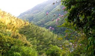 三叠井森林公园