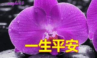 我用一生一世的心 我用一生一世的心