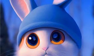 兔年2023专属头像